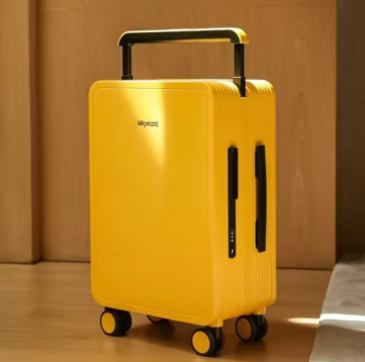 XXX morandi color password fashion suitcase